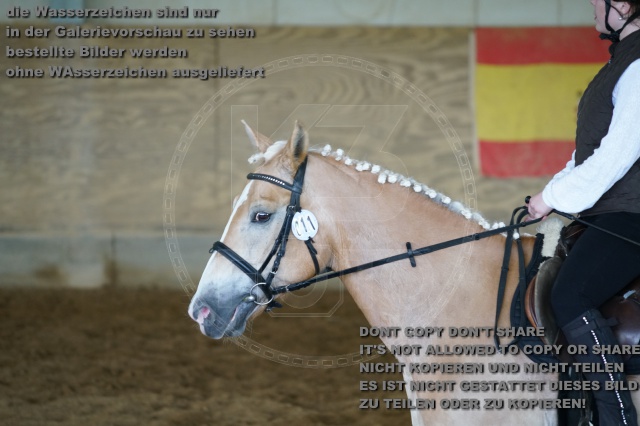 s_K3F04367.JPG